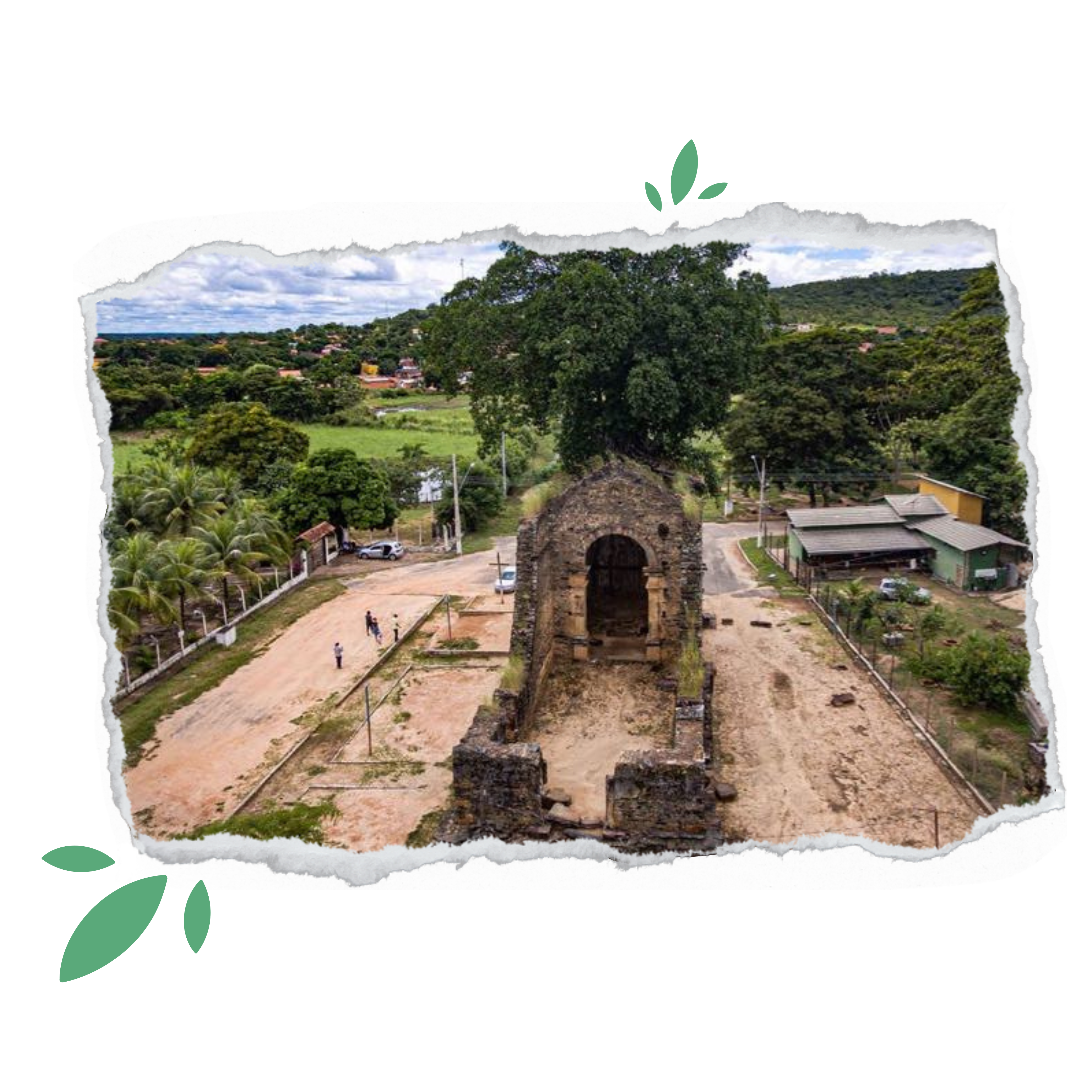 Imagem de uma igreja de pedras inacabada com uma arvore grande e cheia com raizes do chão ao topo do predio por uma vista aérea